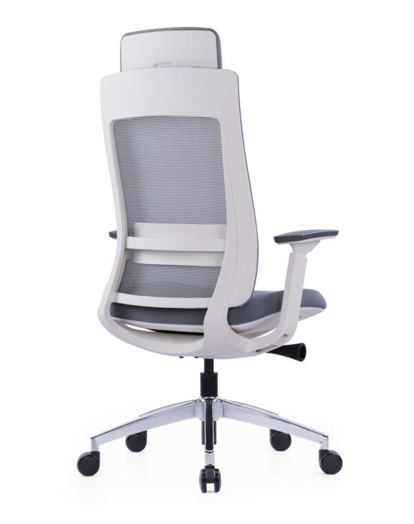 Exotic Ergonomic Chair White