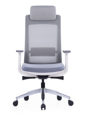 Exotic Ergonomic Chair White