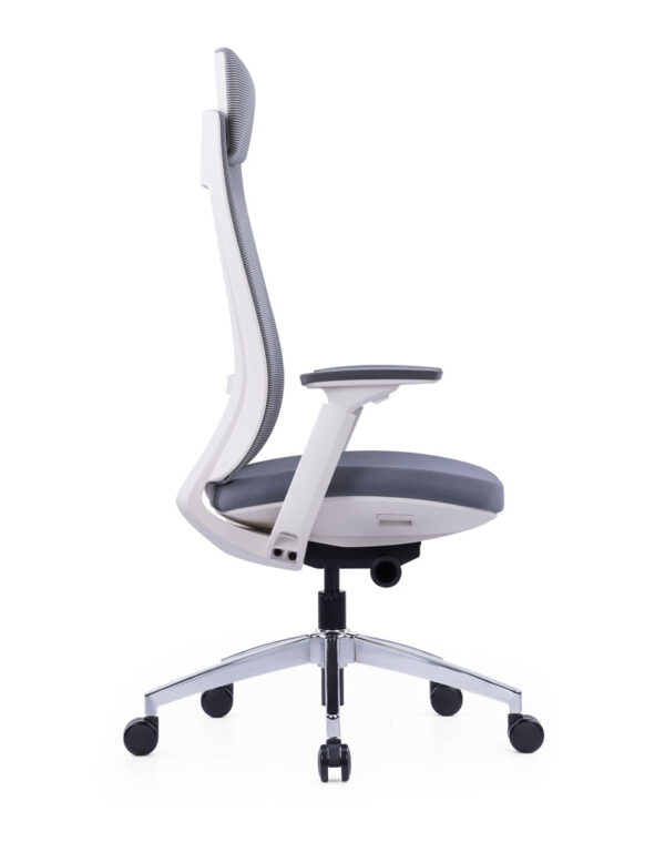 Exotic Ergonomic Chair White