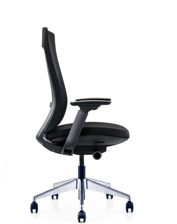 Exotic Office Chair