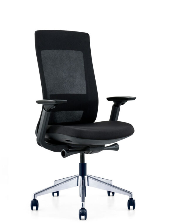Exotic Office Chair