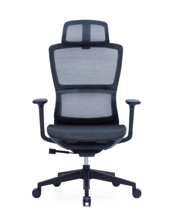 Ant Black Frame Full Mesh Executive Chair