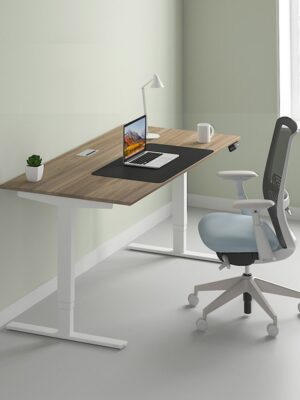 ergo height adjustable desk