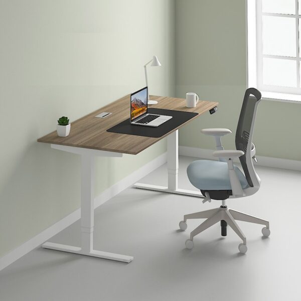 ergo height adjustable desk