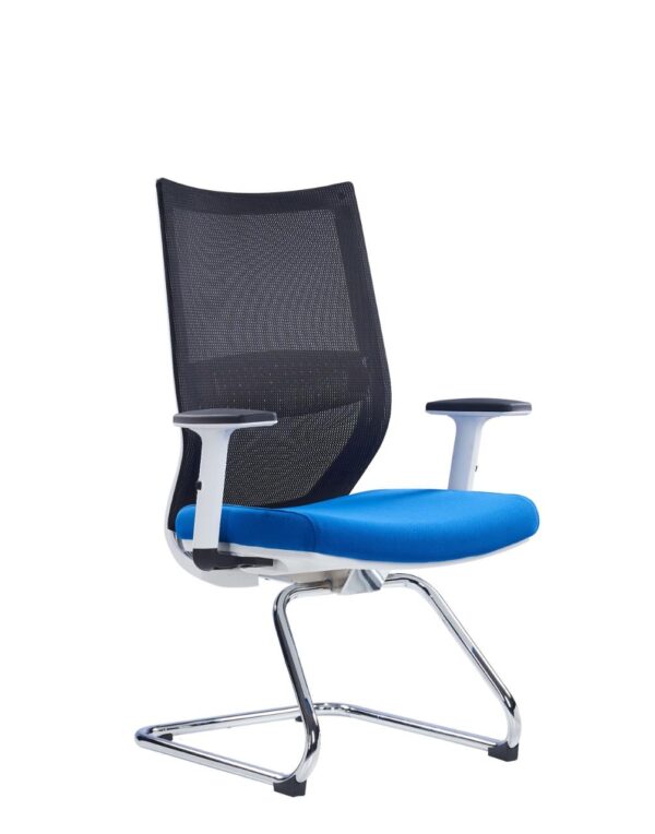 Samara Visitor Chair