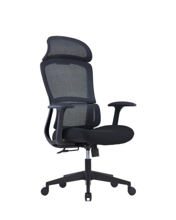 Joycou Executive Chair