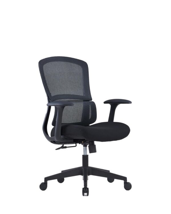 Joycou Office Chair