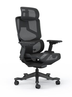 Java Ergonomic Chair