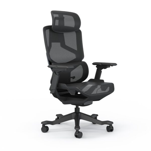 Java Ergonomic Chair