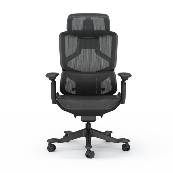 Java Ergonomic Chair - Image 2